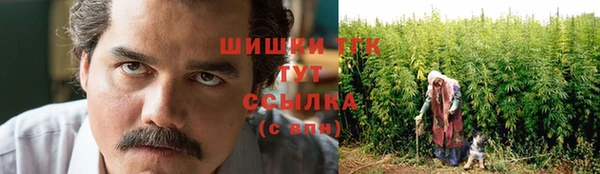 ПСИЛОЦИБИНОВЫЕ ГРИБЫ Сосновый Бор