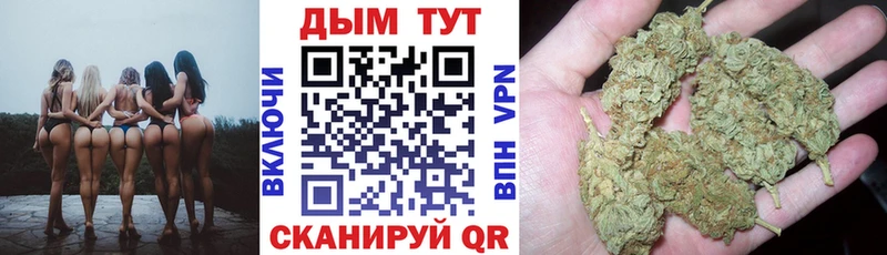 закладка  Шахунья  Конопля план 
